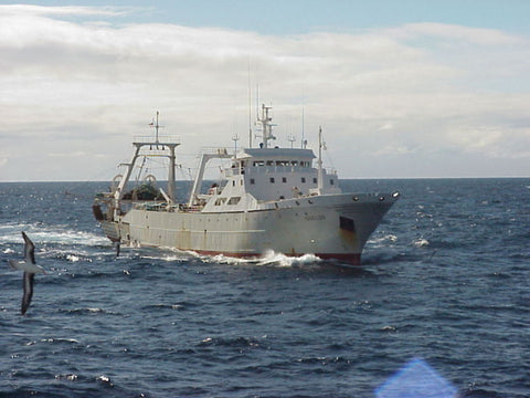 Squid Trawler Reaping Benefits of WASSP F3X