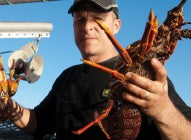 F-Series user Stories - Dan Mccrae, Crayfish, New Zealand
